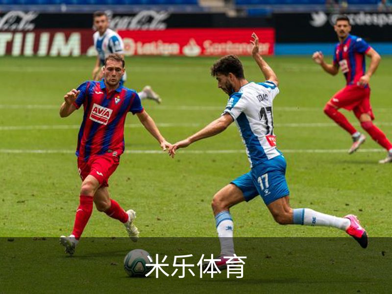 关于米乐体育